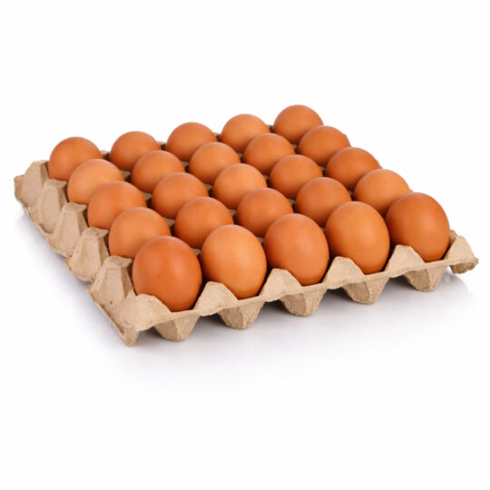 Ovos Vermelhos à Granel (caixa fechada) - 360 unidades